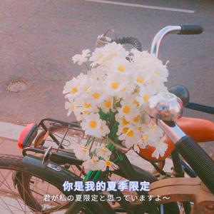 打扑克爽❌又黄❌视频动漫
