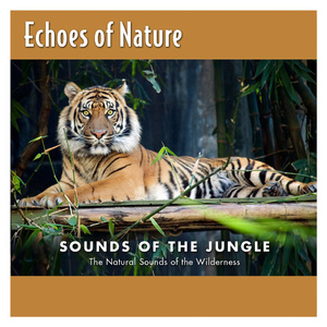 打扑克爽❌又黄❌视频动漫
