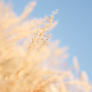 打扑克爽❌又黄❌视频动漫
